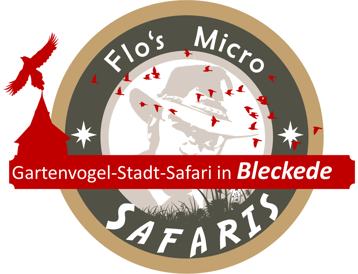 Über mich